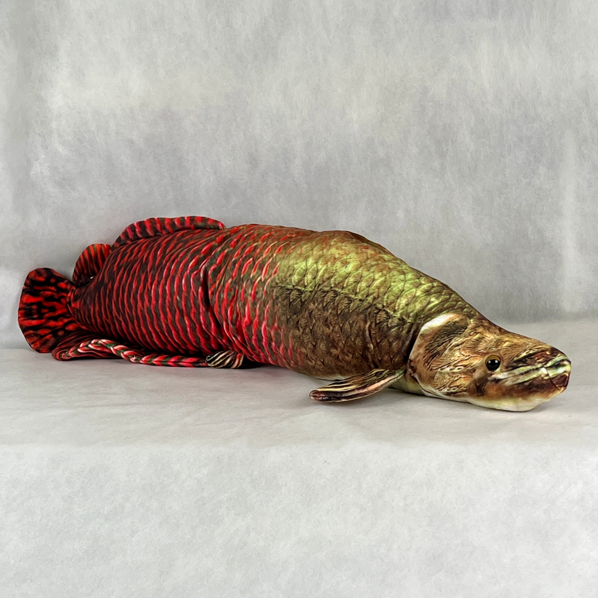 さかなクン プロデュース ぬいぐるみ タコ ピラルク ワニ 特大 さかなくんぬいぐるみ ピラルク – 雑貨店Noichi(ノイチ) ネット