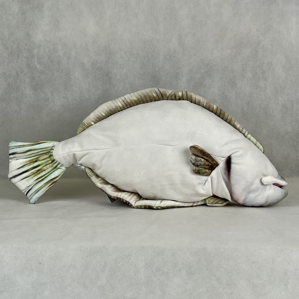 さかなくんぬいぐるみ ヒラメ – 雑貨店Noichi(ノイチ) ネットショップ さかなくんぬいぐるみ ヒラメ – 雑貨店Noichi(ノイチ) ネットショップ