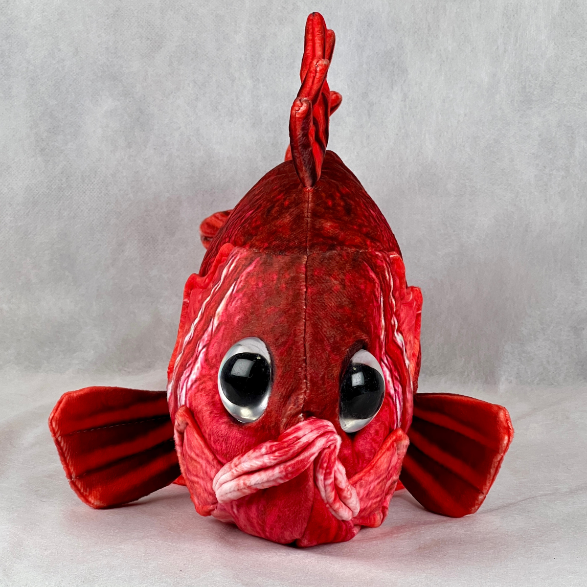 さかなミュージシャン さかなクン監修・“幻の魚”クニマスがまさかのプライズ化「リアルすぎる ぬいぐるみ ミュージシャン