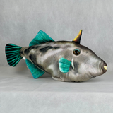 さかなくんぬいぐるみ ウマヅラハギ