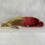 さかなくんぬいぐるみ ピラルク