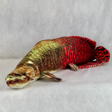 さかなくんぬいぐるみ ピラルク