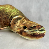 さかなくんぬいぐるみ ピラルク