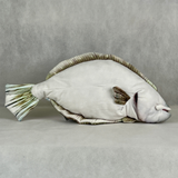 さかなくんぬいぐるみ ヒラメ