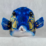 さかなくんぬいぐるみ ハコフグ（オス）