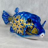 さかなくんぬいぐるみ ハコフグ（オス）