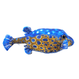 雑貨屋ノイチ|さかなくんぬいぐるみ ハコフグ（オス）